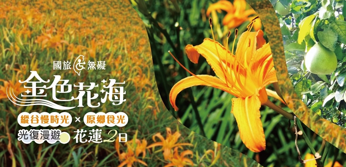 【國旅無礙】金色花海．縱谷慢時光 × 原鄉食光｜花蓮二日遊